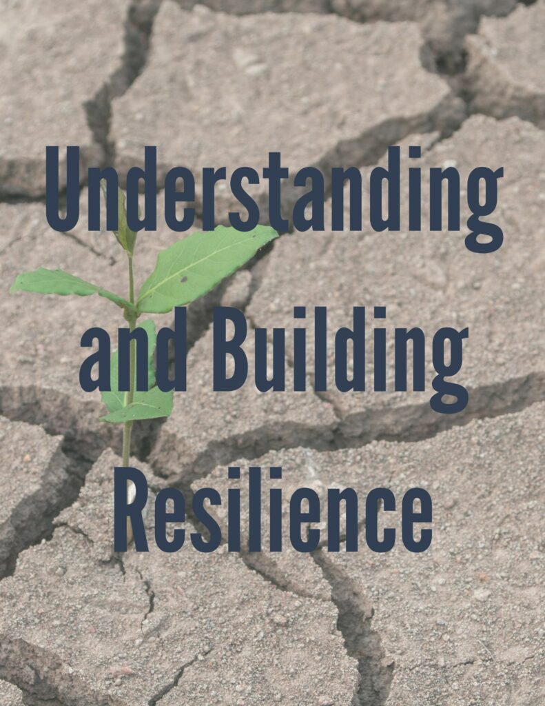 A picture of a plant growing out of cracked dry soil with the text, Understanding and Building Resilience