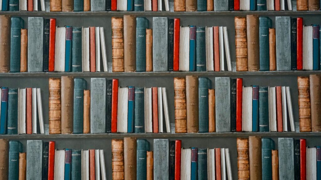 bookcase full of books